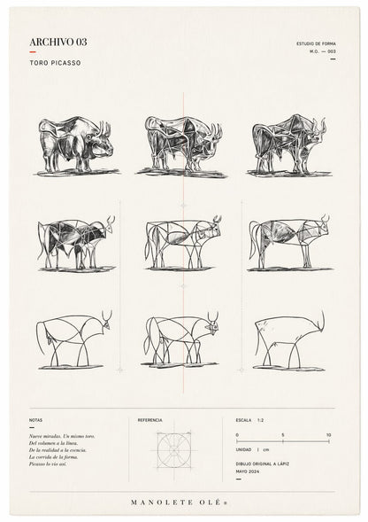 Picasso